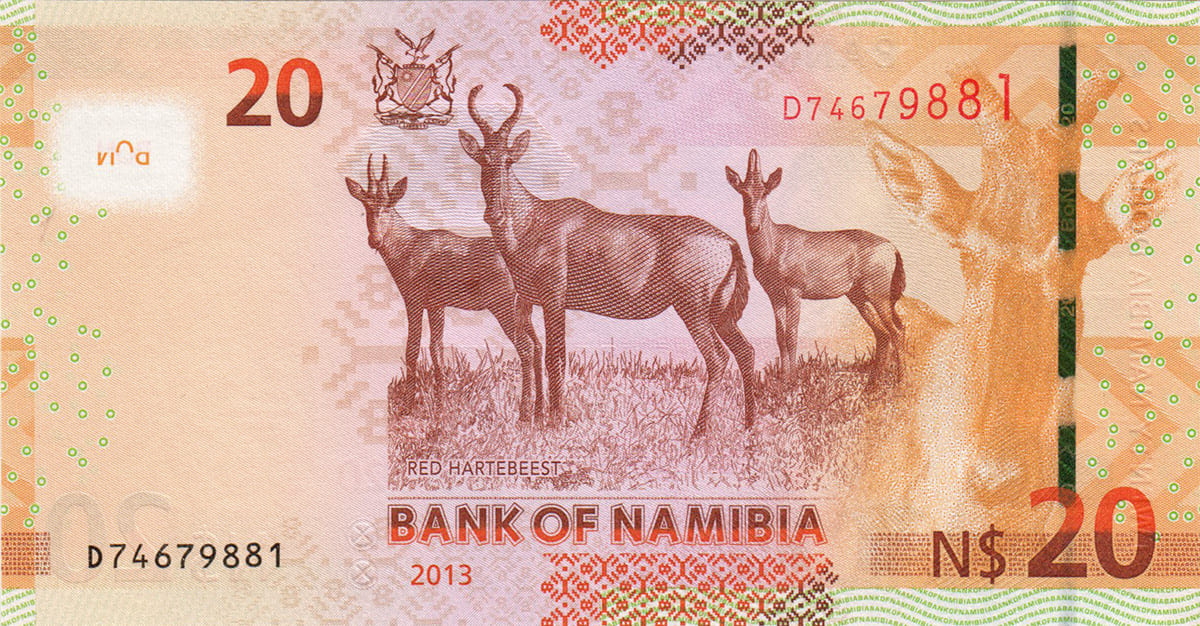 20 долларов Намибии 2013