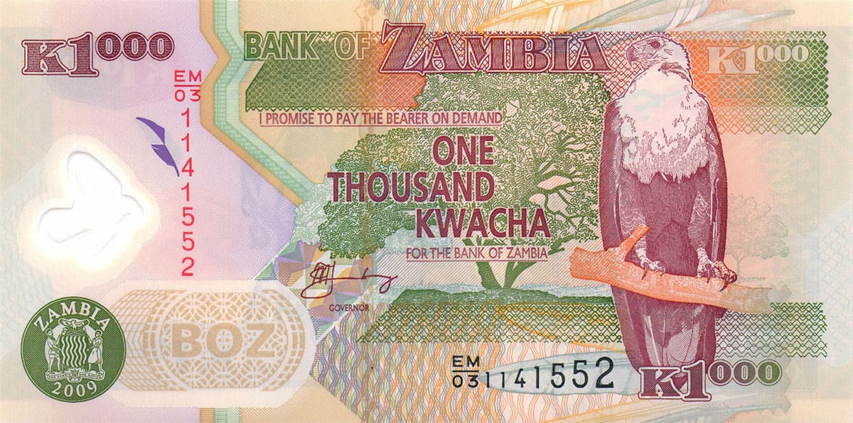 1000 квач Замбии 2009