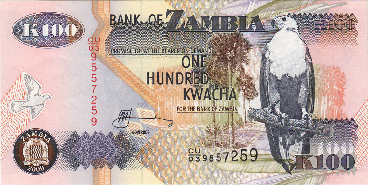 100 квач Замбии 2008