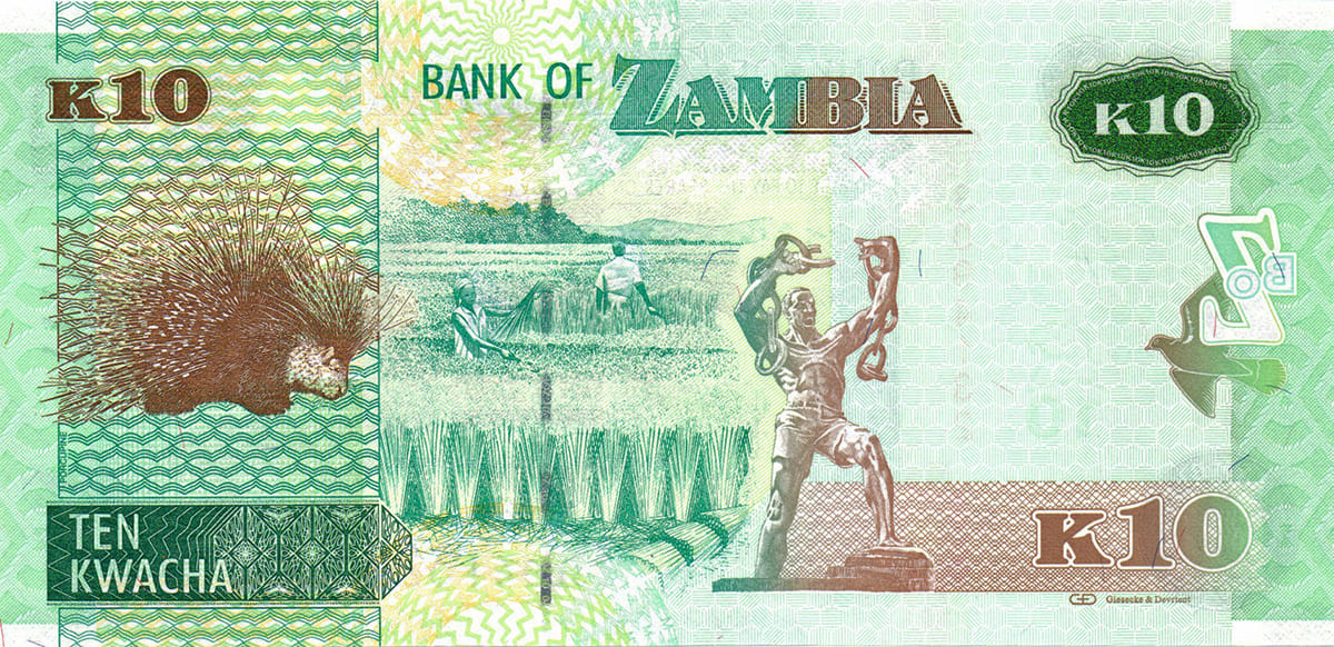 10 квач Замбии 2015