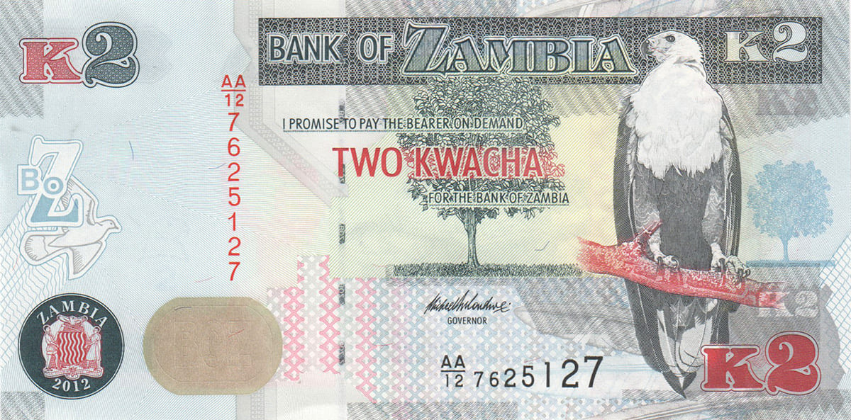 2 квача Замбии 2012