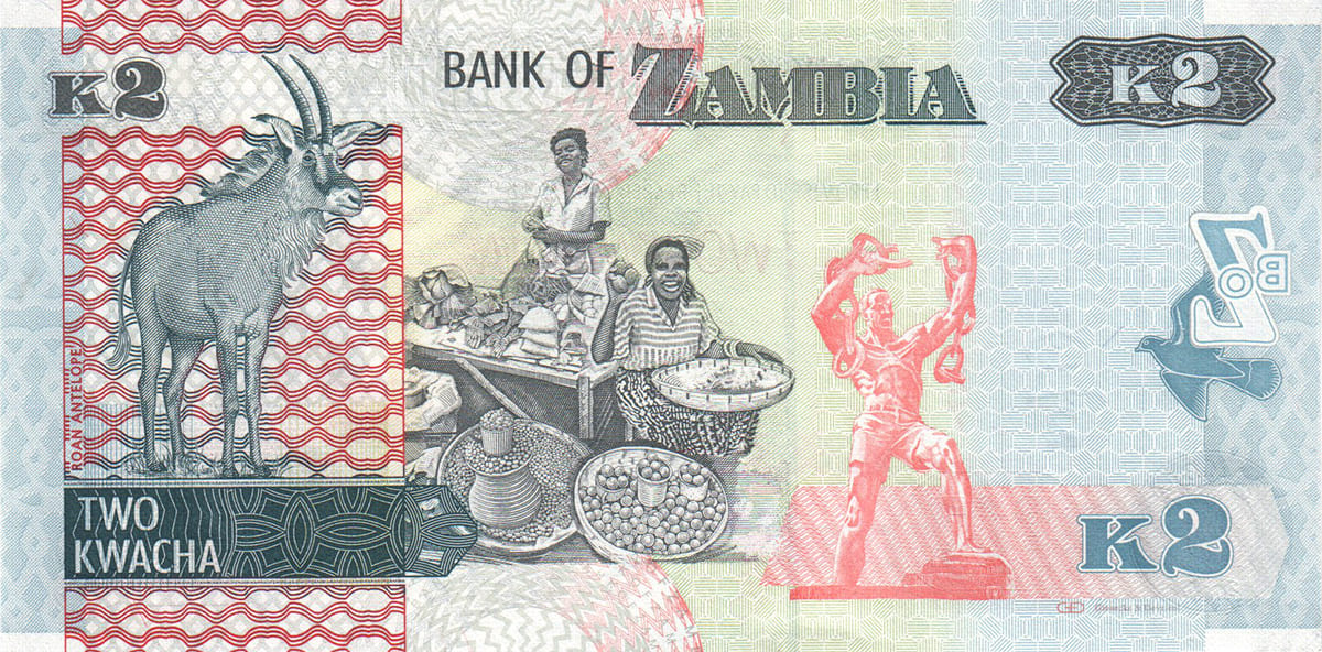 2 квача Замбии 2012