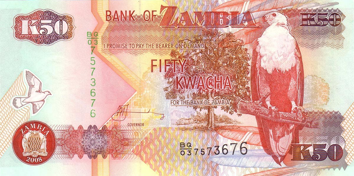 50 квач Замбии 2008