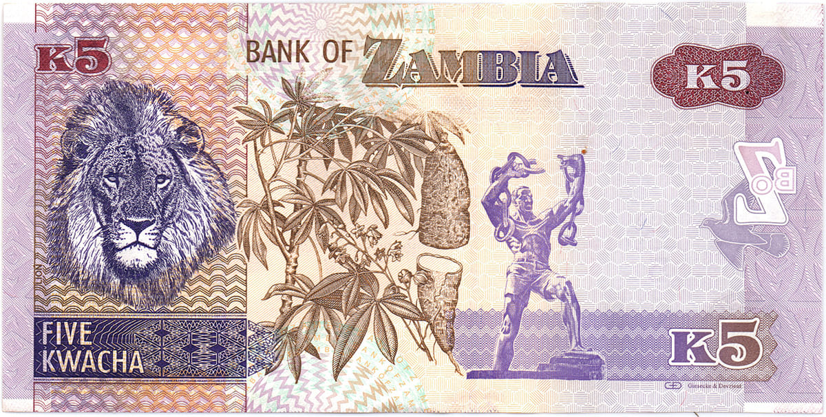 5 квачей Замбии 2012