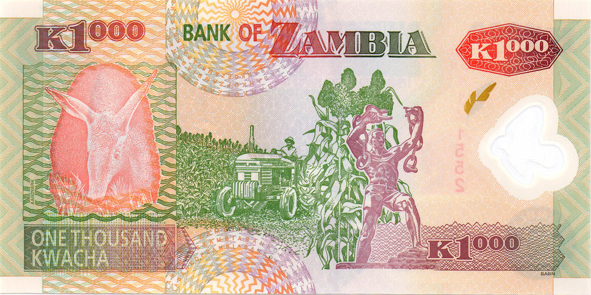 1000 квач Замбии 2009